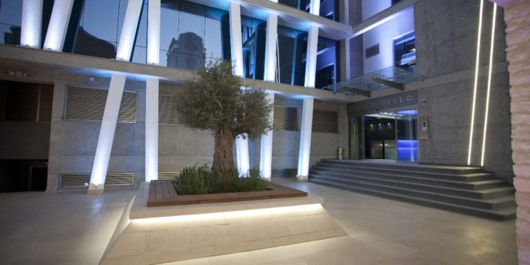 12513793_959393724115278_8360928108548708305_o