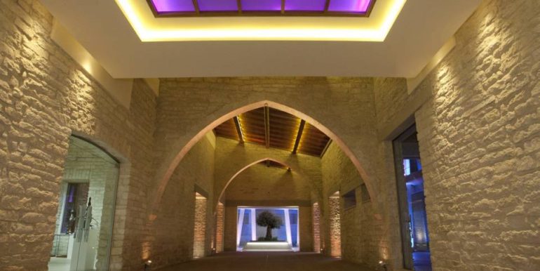 12522960_959393464115304_5388077797549600433_n