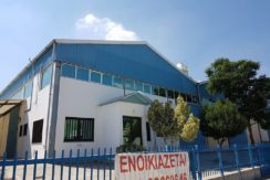 Warehouse Commercial Spaces in Cyprus 1