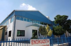 Warehouse Commercial Spaces in Cyprus 1