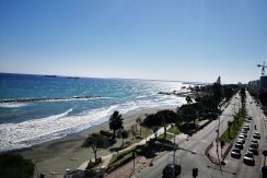 IMG_20210223_134621